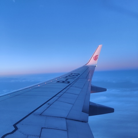 El ala del vuelo de regreso, con Seúl ya detrás