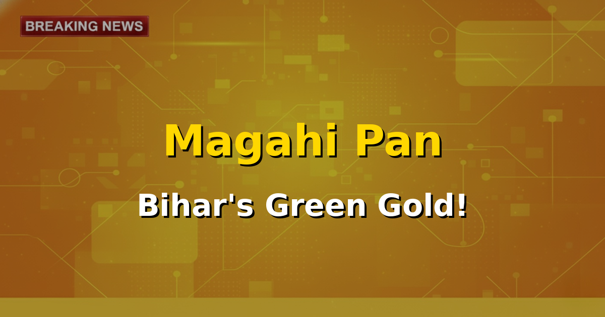 Close-up of vibrant green Magahi Pan leaves, illustrating fresh betel leaf cultivation.