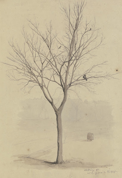 Leafless tree with birds 1860