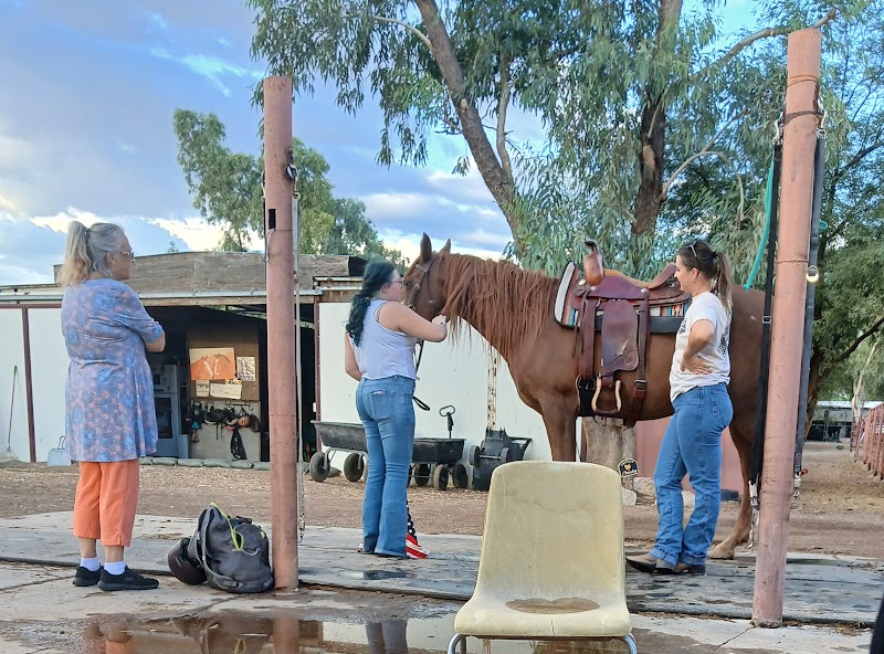 Kids enjoying summer activities at Rose Riding camp