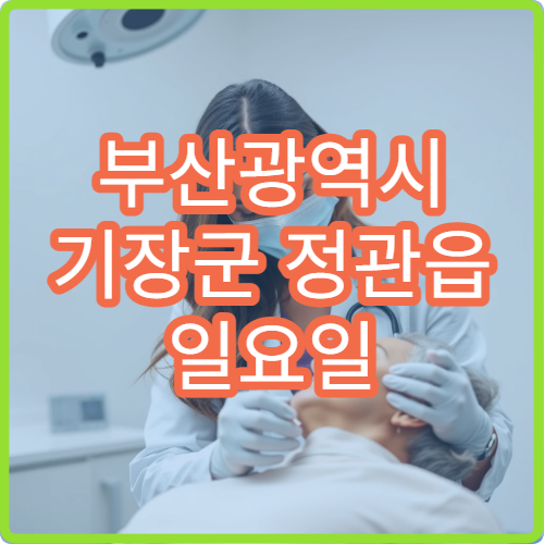 부산광역시 기장군 정관읍 일요일 치통 치과 진료 정보