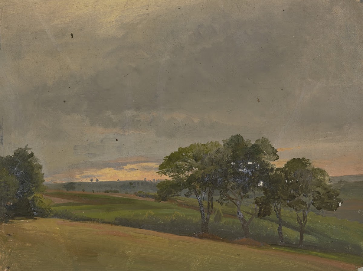 Abendliche Wiese mit Bäumen