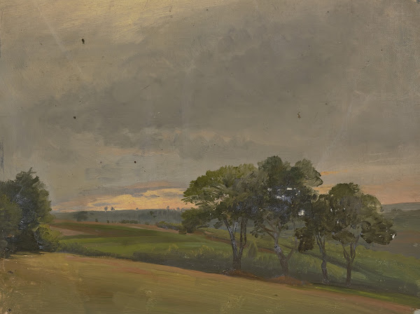 Abendliche Wiese mit Bäumen