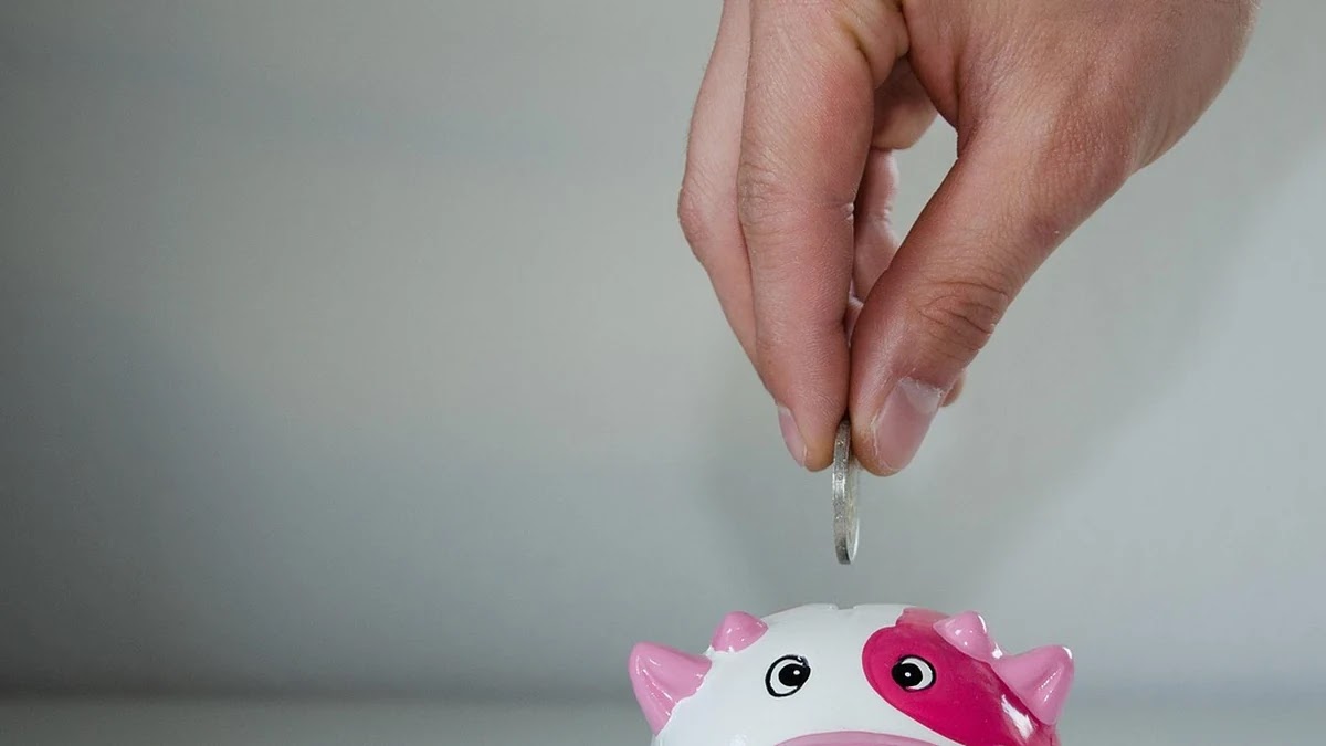 저축은행 예금 금리 비교와 선택 기준 분석