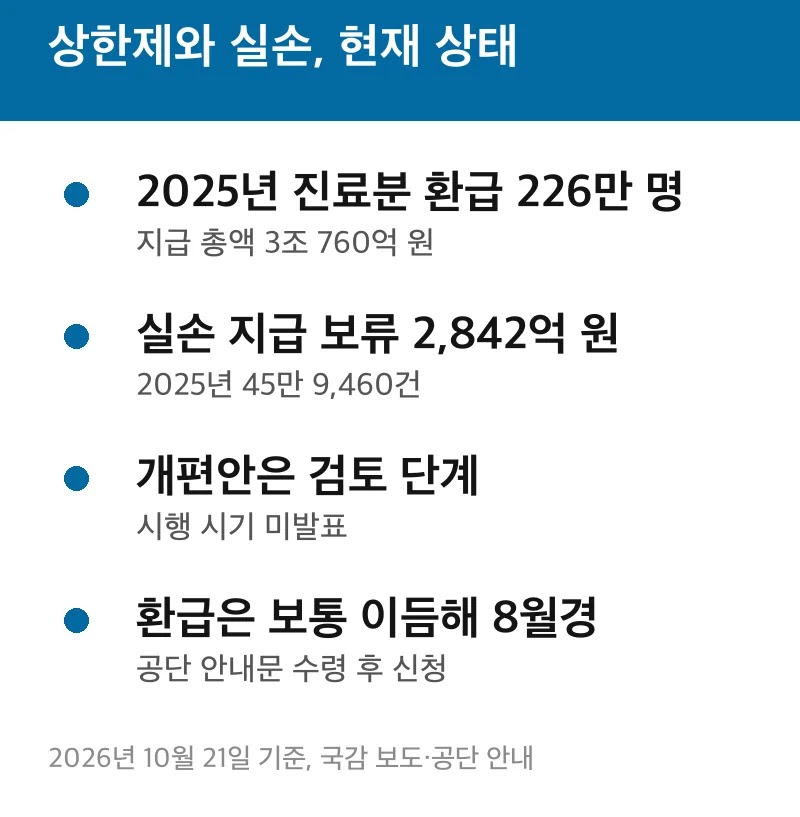 상한제와 실손, 현재 상태