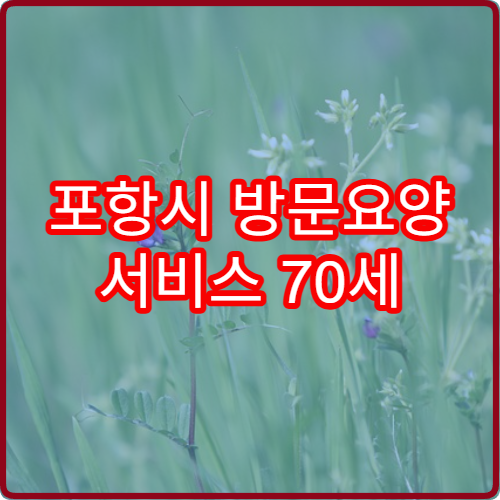 포항시 방문요양 서비스 70세 2026 이용시간 25% 확대