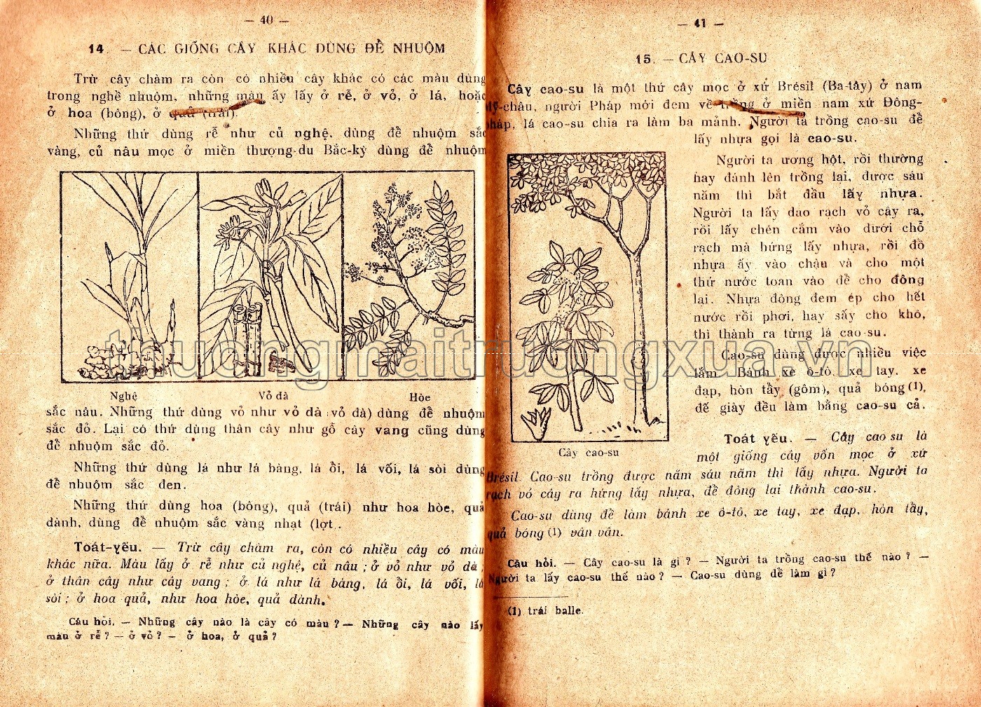 Cách trí địa dư giáo khoa thư (lớp dự bị, 1935) - Trang 20