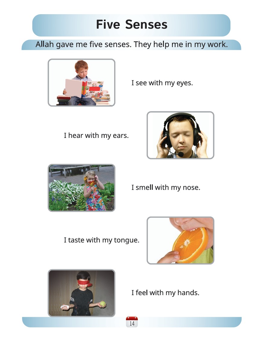 Science Book C - Activity Book