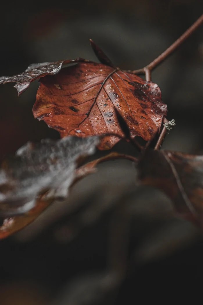 재무설계 초보자를 위한 쉬운 가계부 작성법과 예산 설정 팁