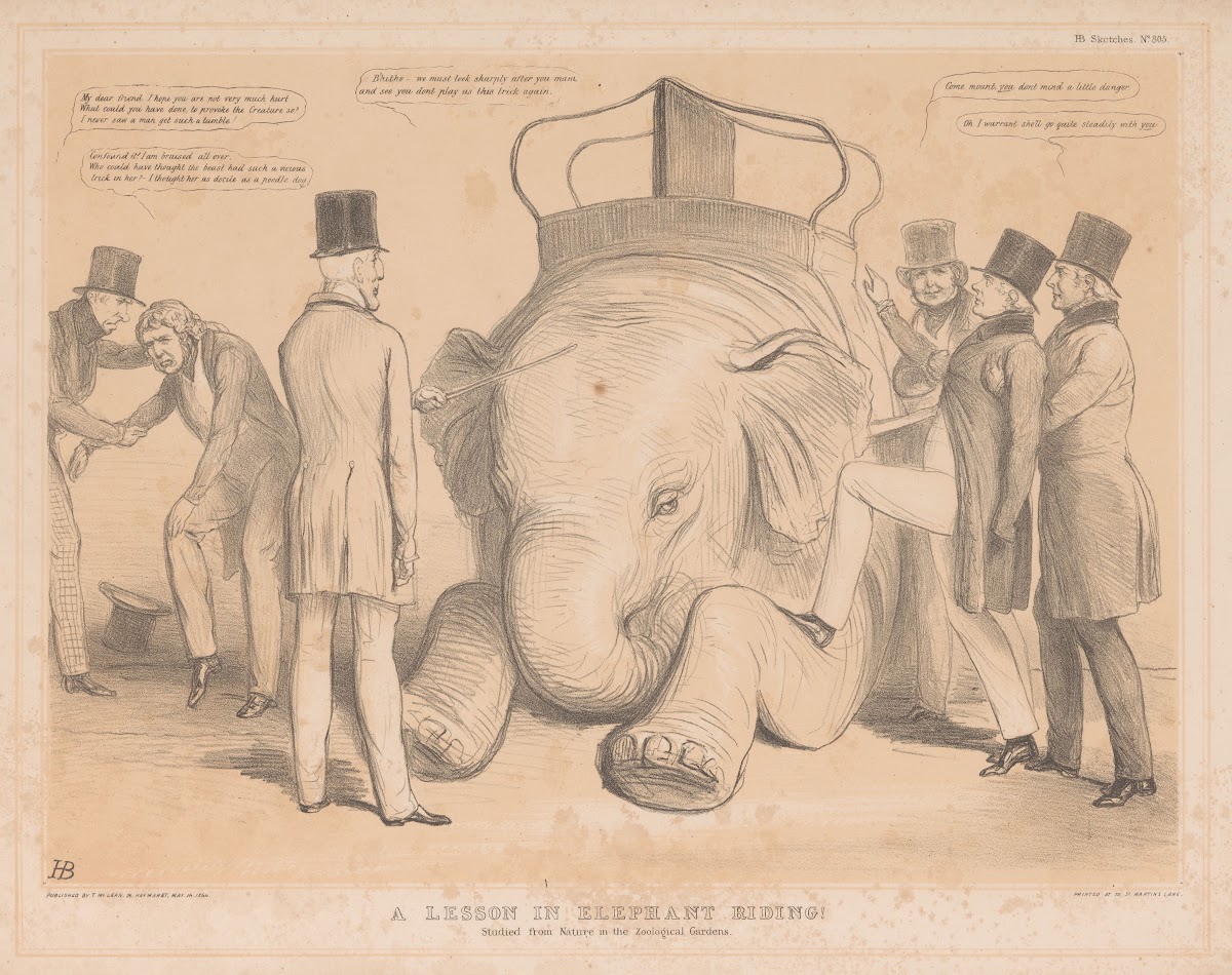 A lesson in elephant riding Studied from Nature in the Zoological Gardens 1844 1