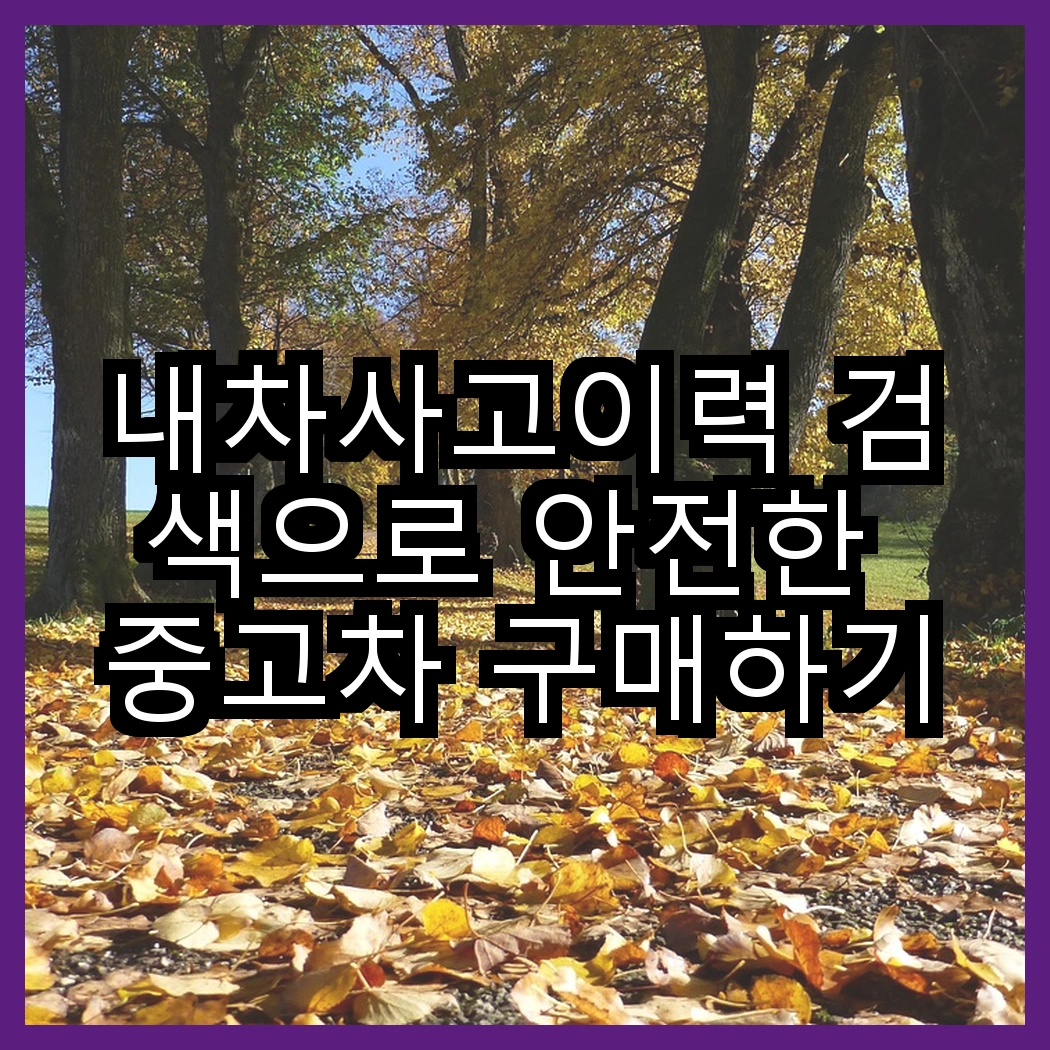 내차사고이력 검색으로 안전한 중고차 구매하기 썸네일