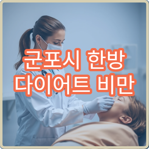 군포시 한방 다이어트 비만 이상 증상 치료 프로그램 한의원