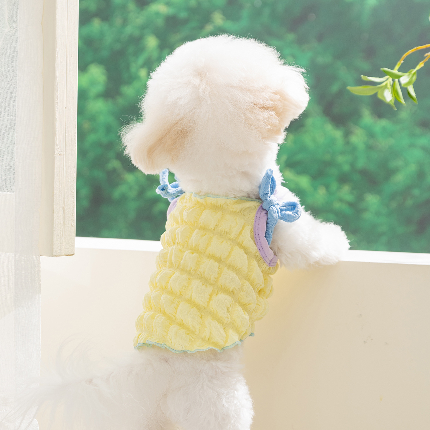 Tank Top for Dogs and Cats, Spring/Summer