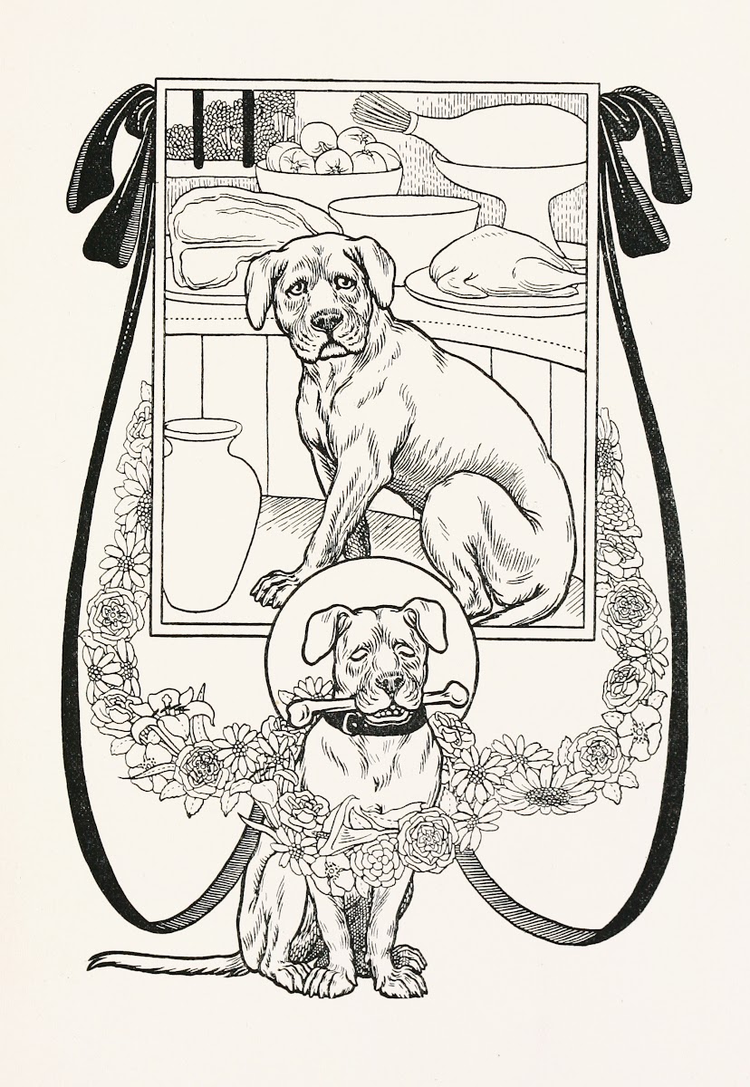 A hundred anecdotes of animals pl 078 1901