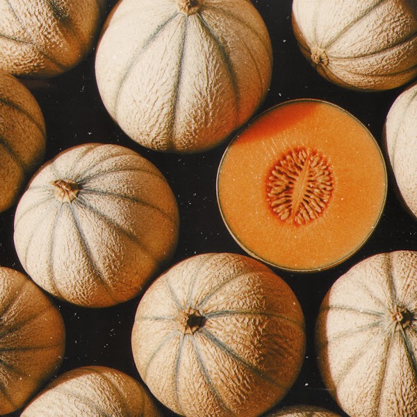 Cantaloupe melons, one halved