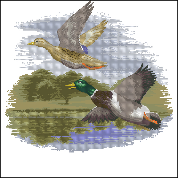 CMP FF651 Mallard Ducks In Flight
