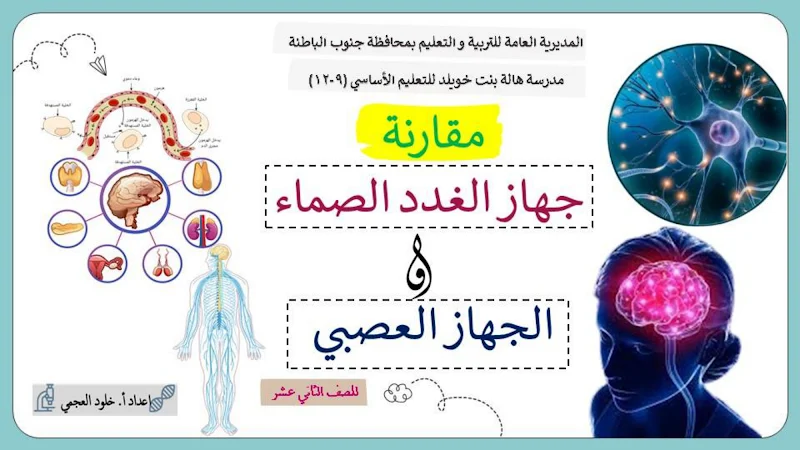 صورة الغلاف