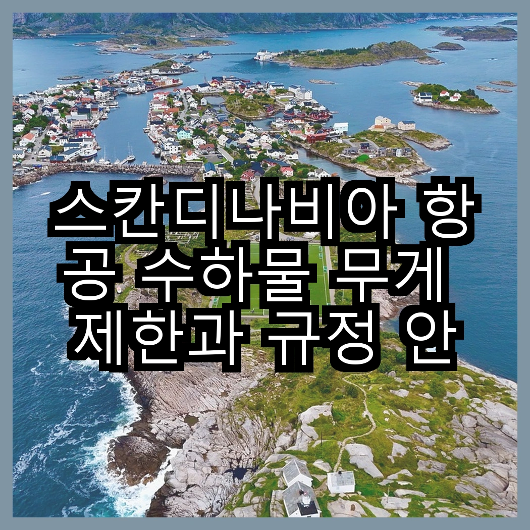 스칸디나비아 항공 수하물 무게 제한과 규정 안내 썸네일