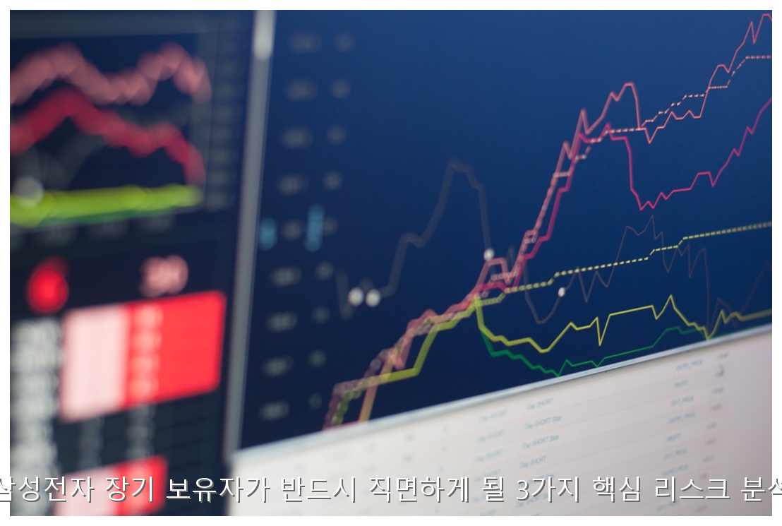삼성전자 장기 보유자가 반드시 직면하게 될 3가지 핵심 리스크 분석 핵심 안내 및 분석 인포그래픽 (2)