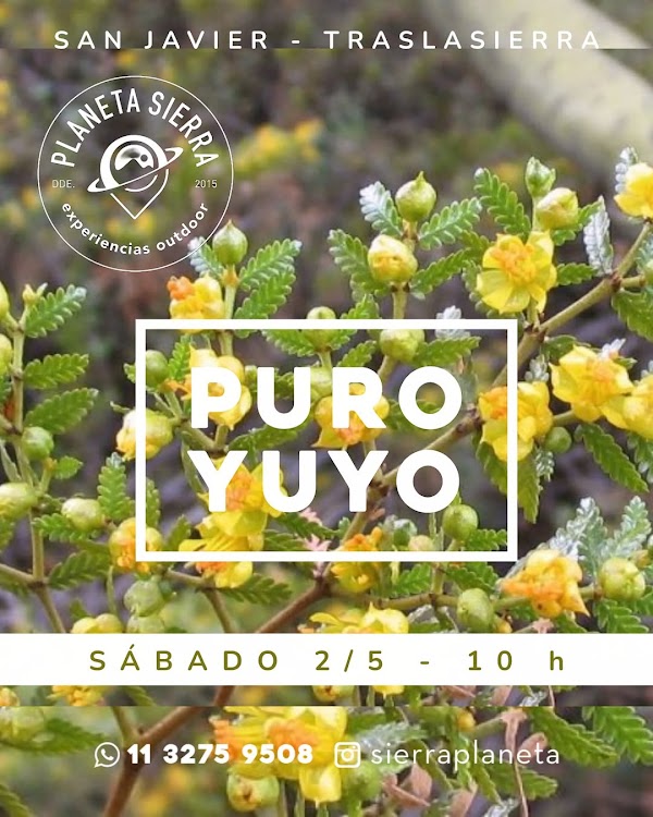 Puro Yuyo