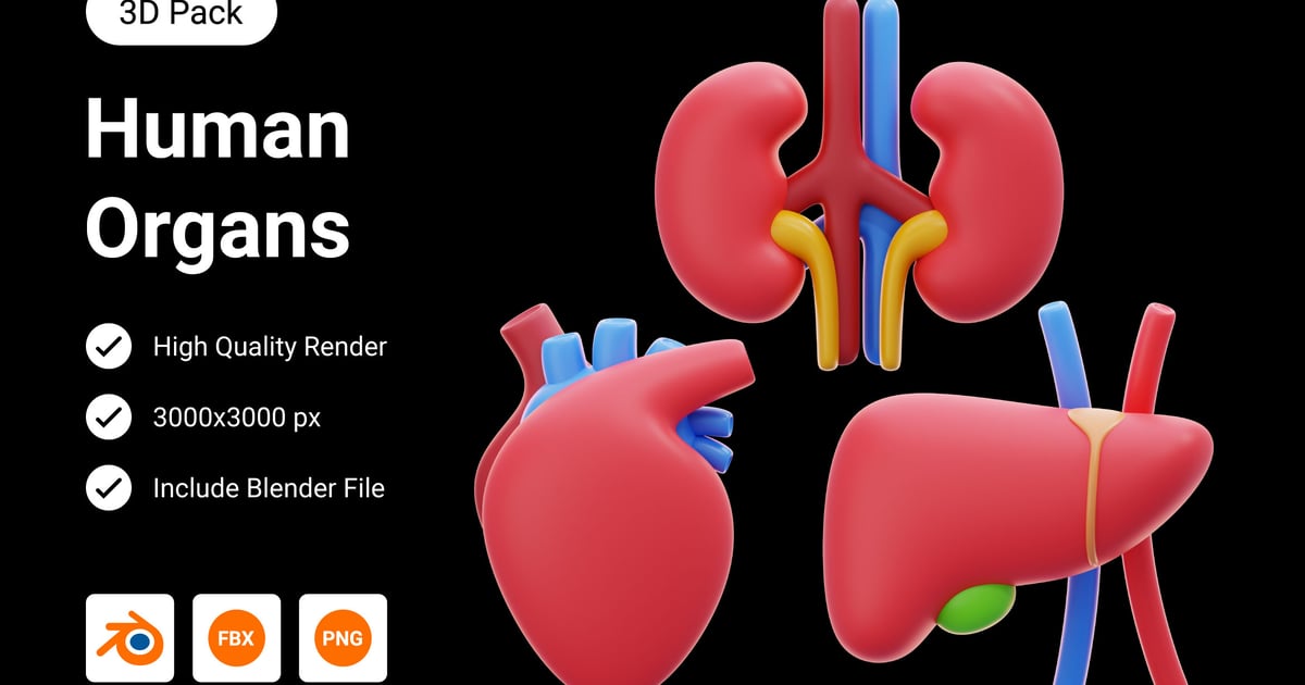 Human Organs 3D Illustration Free Download – Envato Elements