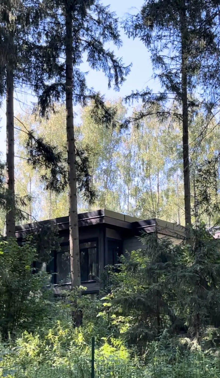 Современный дом среди деревьев в Emerald Village