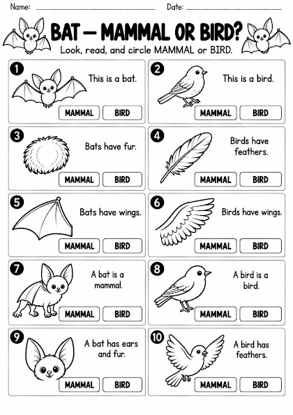 Bat Mammal or Bird Worksheet