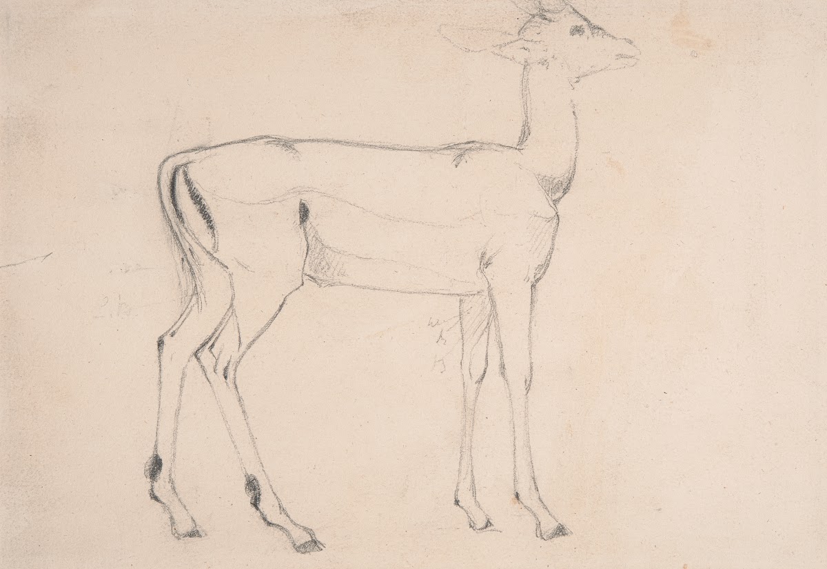 Study of a Standing Deer ca 1802
