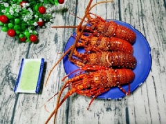 Hãy để cho tôm hùm lại trong nồi thêm 5 phút hoặc lâu hơn sau khi nấu để thịt tôm ngon hơn. Vớt tôm ra, trang trí theo ý thích, khi ăn, bạn chấm kèm với muối ớt xanh hoặc nước chấm hải sản chuyên dụng.