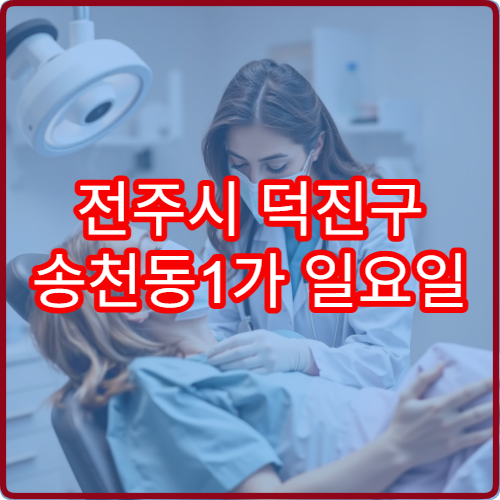 전주시 덕진구 송천동1가 일요일 진료 내과 장염 복통 치료
