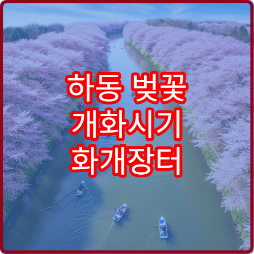 하동 벚꽃 개화시기 화개장터 벚꽃 절정 예상