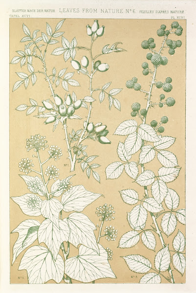 Leaves from Nature No6 1856