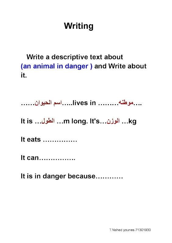 صورة الغلاف