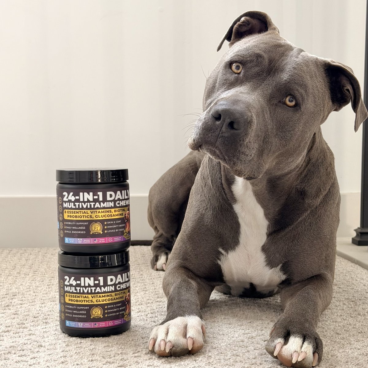 assets Pup Choice — UGC photo — theme: tick season starting