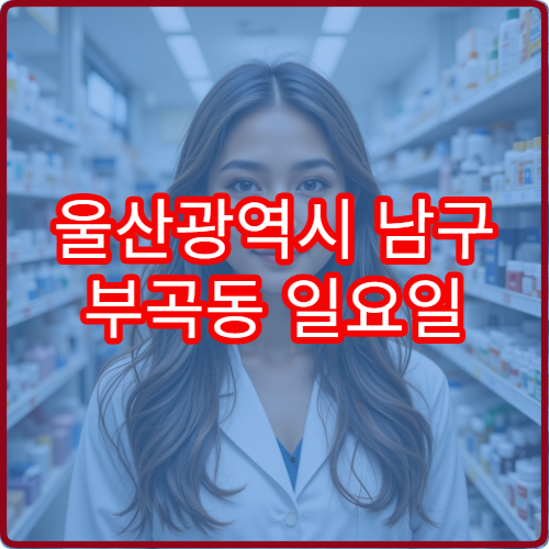 울산광역시 남구 부곡동 일요일 당번약국 휴일 오픈 정보 확인 응급약 구매 가능
