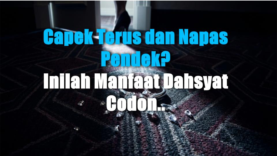Capek Terus dan Napas Pendek? Inilah Manfaat Dahsyat Codonopsis, Tonik Damai yang Kamu Butuhkan!