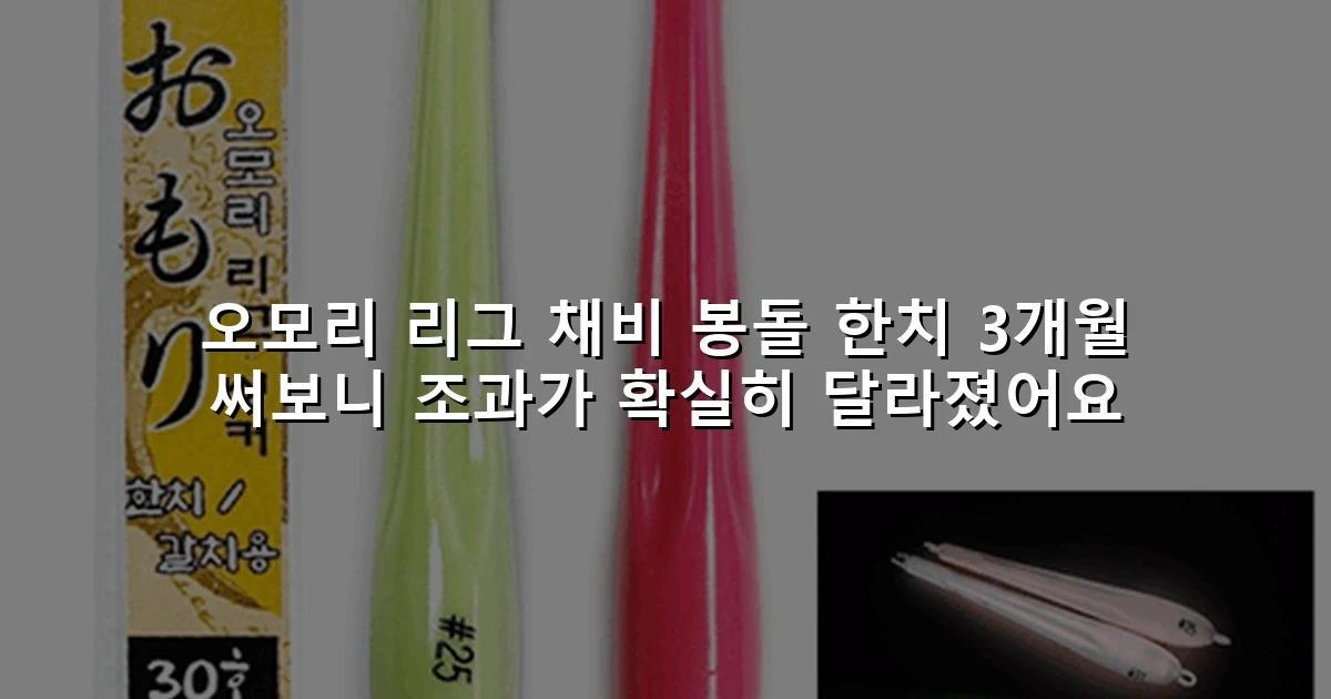 오모리 리그 채비 봉돌 한치 3개월 써보니 조과가 확실히 달라졌어요