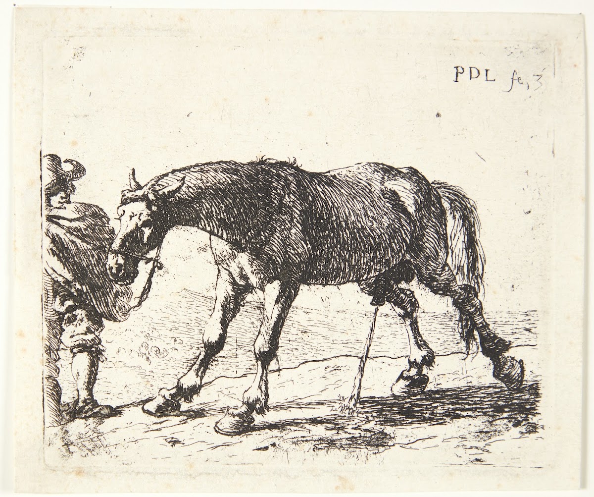 En pissende hest