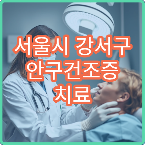 서울시 강서구 안구건조증 치료 눈 건강검진 안과 전문 진료 병원
