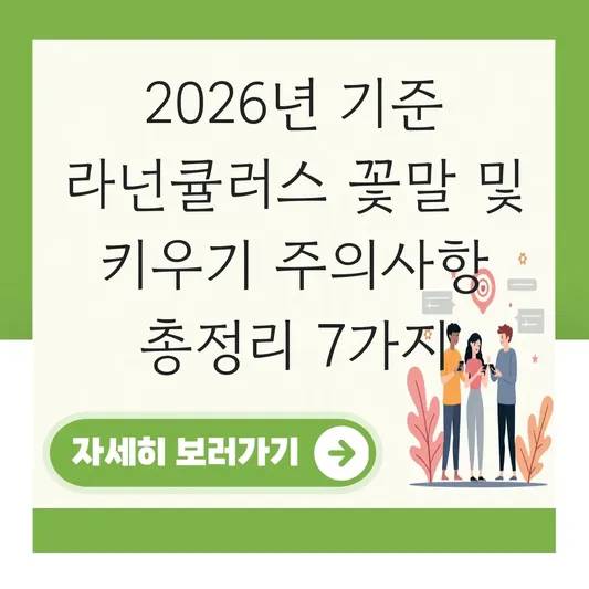 라넌큘러스 꽃말 및 키우기 주의사항 대표 이미지