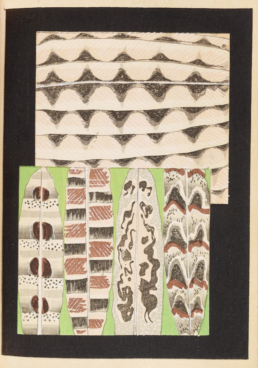 Shin Bijutsukai Pl398 1901 1902
