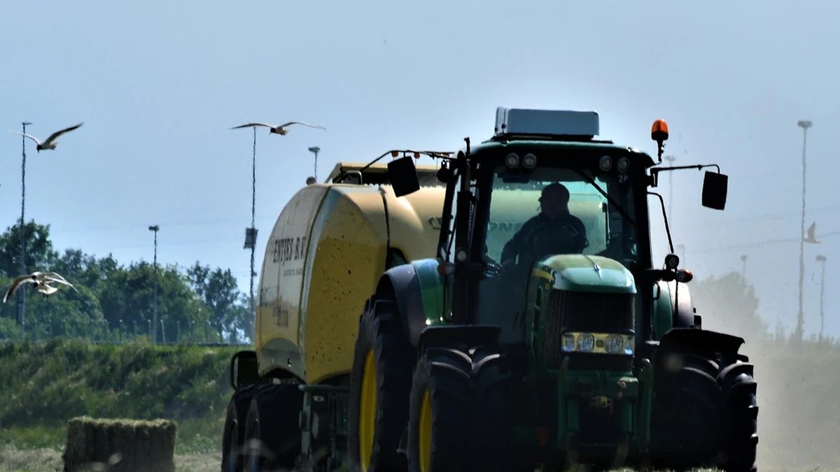 ENTJ와 INFP, 리더십과 이상주의 성향 비교하기