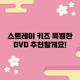 스트레이키즈월드투어DVD, 스트레이키즈DVD 추천, 스트레이키즈 팬 콘텐츠, 월드투어 DVD 비교, 스트레이키즈 굿즈