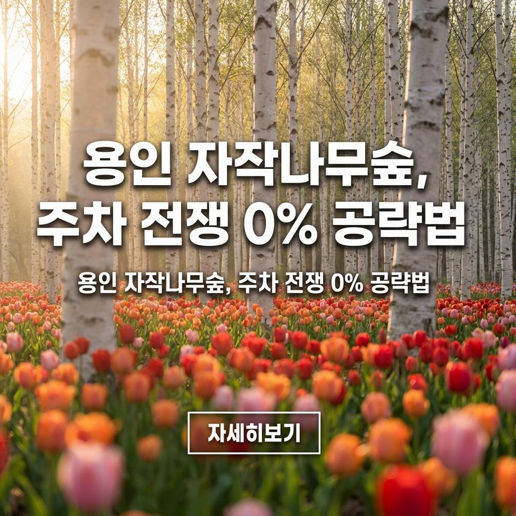 2026 용인 자작나무숲 봄꽃축제: 튤립·겹벚꽃 프리미엄 가이드