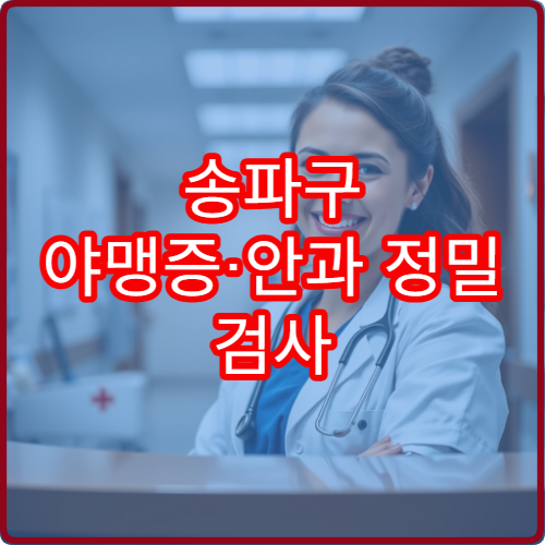 송파구 야맹증·안과 정밀 검사 가능한 병원 정보