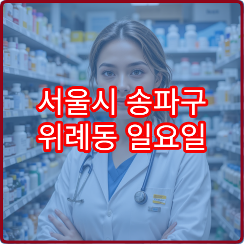 서울시 송파구 위례동 일요일 당번약국 신도시 당직약국 한눈 정리