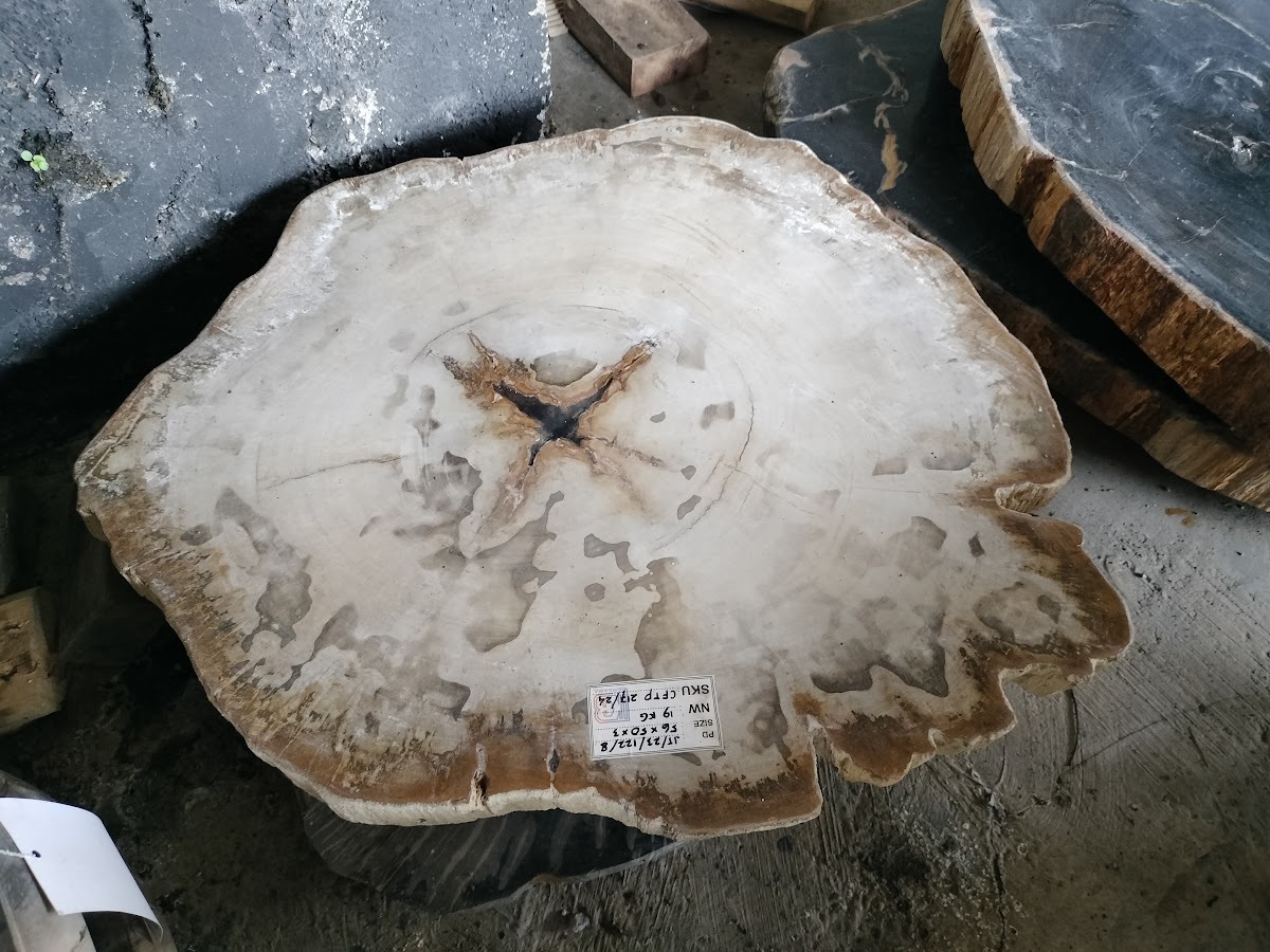 ROUND COFFEE TABLE — SKU CFTP.217.24 | Petrified Wood by PJ Antique Bali
