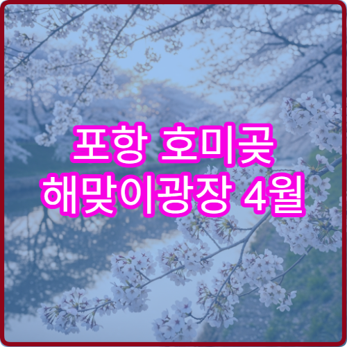 포항 호미곶 해맞이광장 4월 도시락 피크닉 해안 절벽 명당 위치
