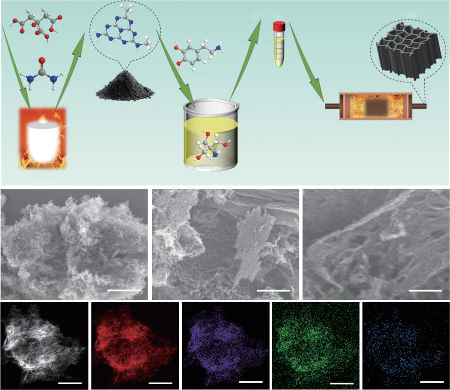 Defect-rich N/O-co-doped porous carbon frameworks as anodes for superior potassium and sodium-ion batteries