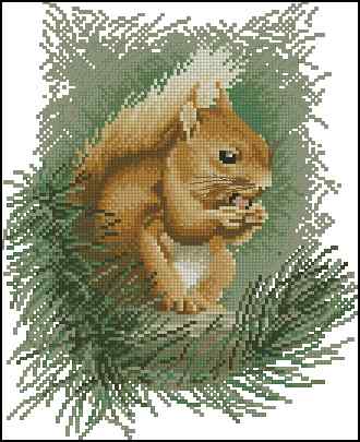 CMP 400546 Red Squirrel